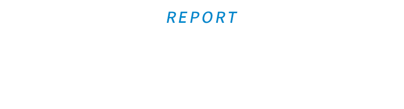 REPORT約１～２週間後にお届けするレポート