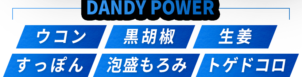 DANDY POWERウコン黒胡椒生姜すっぽん泡盛もろみトゲドコロ