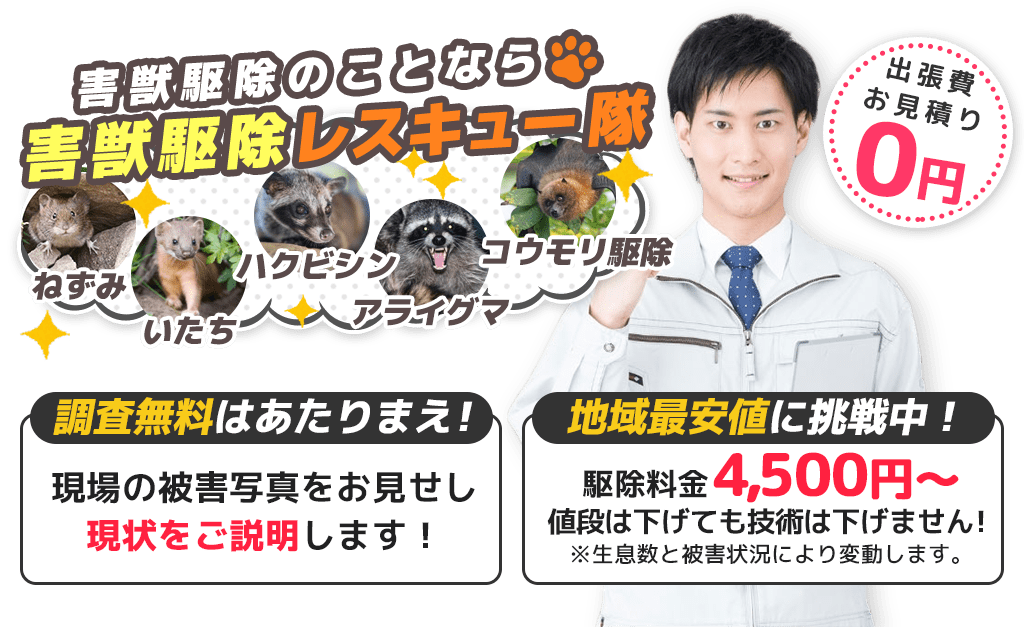 害獣駆除のことなら害獣駆除レスキュー隊出張費お見積り0円調査無料はあたりまえ！現場の被害写真をお見せし現状をご説明します！地域最安値に挑戦中！駆除料金4,500円～値段は下げても技術は下げません！※生息数と被害状況により変動します。