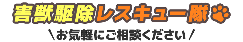 害獣駆除レスキュー隊お気軽にご相談ください