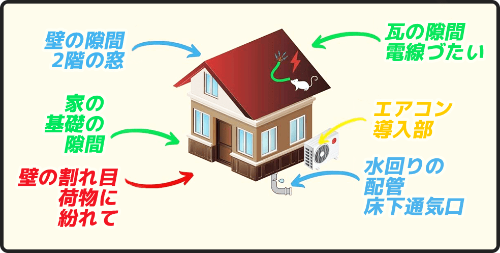 壁の隙間2階の窓家の基礎の隙間壁の割れ目荷物に紛れて瓦の隙間電線づたいエアコン導入部水回りの配管床下通気口