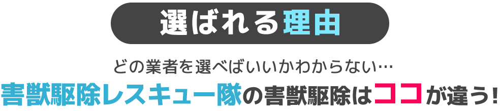 選ばれる理由どの業者を選べばいいかわからない…害獣駆除レスキュー隊の害獣駆除はココが違う！