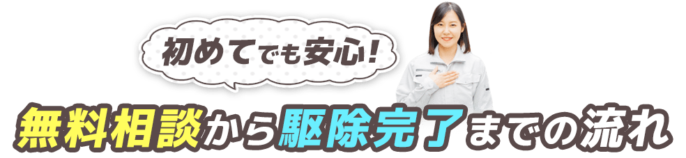 初めてでも安心！無料相談から駆除完了までの流れ