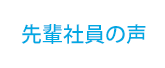 先輩社員の声