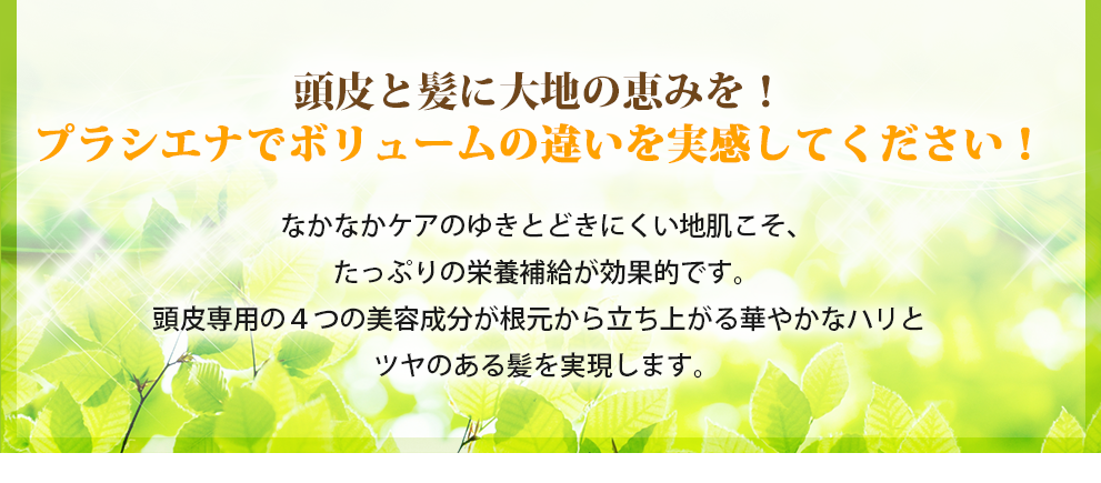 頭皮と髪に大地の恵みを！プラシエナでボリュームの違いを実感してください！なかなかケアのゆきとどきにくい地肌こそ、たっぷりの栄養補給が効果的です。頭皮専用の４つの美容成分が根元から立ち上がる華やかなハリとツヤのある髪を実現します。