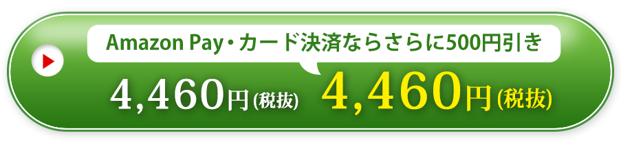 Amazon Pay・カード決済ならさらに500円引き4,460円(税抜)4,460円(税抜)