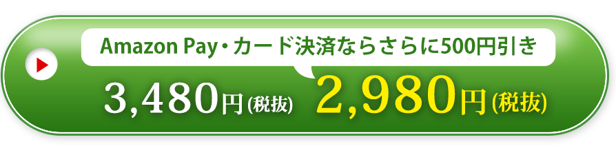 3,480円(税抜)Amazon Pay・カード決済ならさらに500円引き2,980円(税抜)