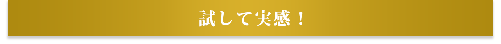 試して実感！